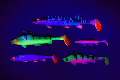 Balzer Shirasu "Clone Shad" - UV Regenbogenforelle