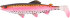 Balzer Shirasu "Clone Shad" - UV Regenbogenforelle