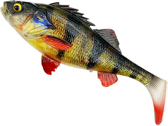 Savage Gear 4D Perch Shad - Perch