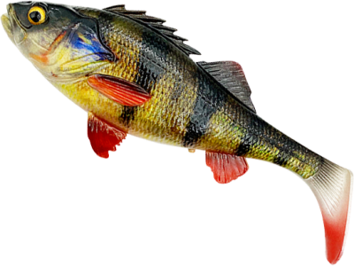 Savage Gear 4D Perch Shad - Perch