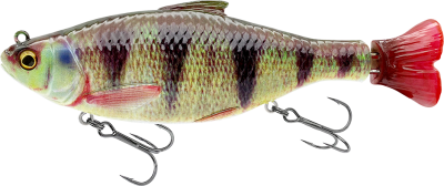 Savage Gear 3D Hard Pulsetail Roach - Perch