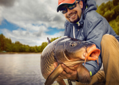 Fischzeux Freilauf Karpfenset 2x Base-X Carp 3 lbs + 2x Quick NOVA FS 5000