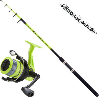 Anfänger Combo: Balzer Gothic Tele 70 + 130 FD 2,70 m