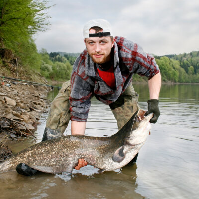 MADCAT Profi Angelset Wels Deluxe Rute + Rolle