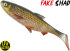Balzer Shirasu Fake Shad - Roach