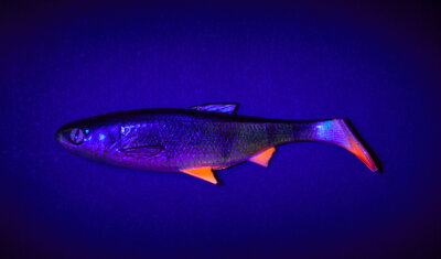 Balzer Shirasu Fake Shad - Perch 16 cm / 41 g