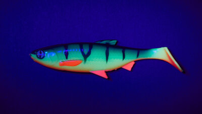 Balzer Shirasu Fake Shad - Fireshark 10 cm / 14 g