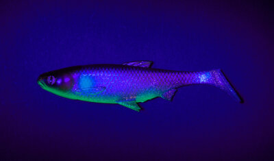 Balzer Shirasu Fake Shad - Mysterious 10 cm / 14 g