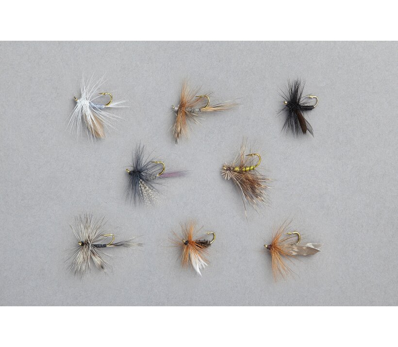 Balzer Edition Fly - Trockenfliegen-Sortiment