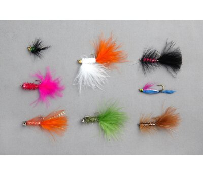 Balzer Edition Fly - Regenbogenforellen-Sortiment