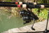 DAM Profi Karpfenset Spezi Stick II Tele Carp + Runshift FS